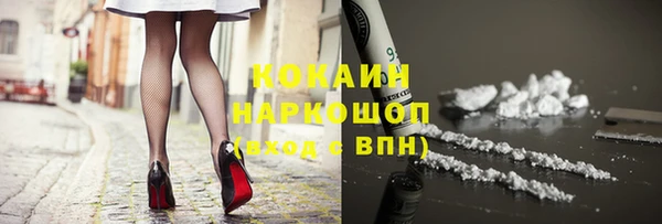 стафф Алексин