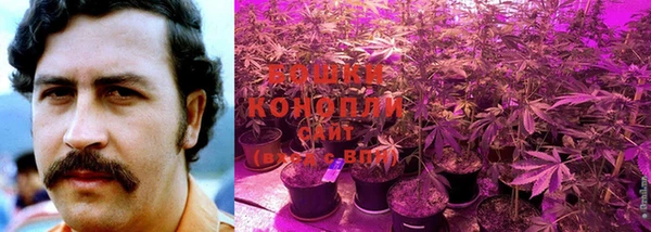 кокаин колумбия Алзамай