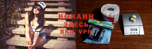 стафф Алексин